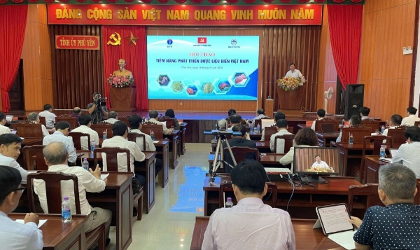 Hình ảnh cho bài viết Phú Yên dựa vào lợi thế biển để phát triển kinh tế 