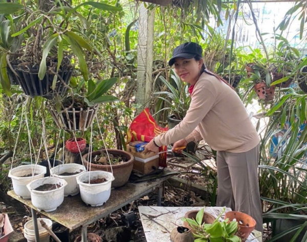 Hình ảnh cho bài viết Xây dựng mô hình nuôi ong Dú ở huyện miền núi tỉnh Phú Yên 