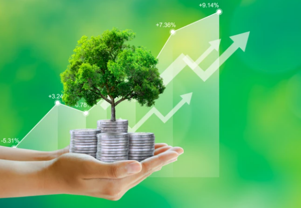 Hiển thị chi tiết cho Phú Yên xây dựng phương thức sản xuất số như thế nào theo định hướng của Tổng Bí thư Tô Lâm? Hình ảnh cho bài viết Phú Yên xây dựng phương thức sản xuất số như thế nào theo định hướng của Tổng Bí thư Tô Lâm?