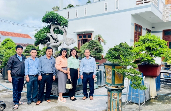 Hình ảnh cho bài viết Phát huy hiệu quả mô hình “Trồng hoa - Cây cảnh” ở trung tâm thành phố Tuy Hòa